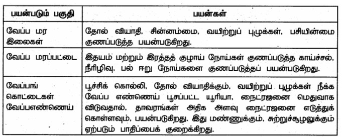 6th Science Answers in Tamil 1