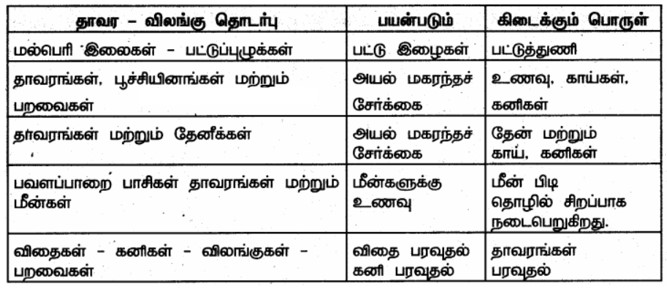 6th Science Answers in Tamil 