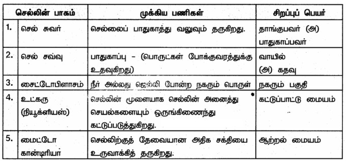 6th Science Book Answers in Tamil