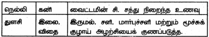 6th Science Book Back Answers in Tamil