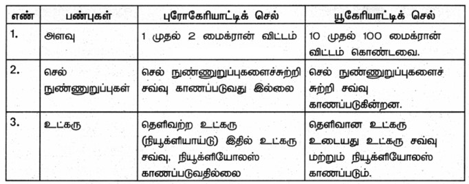 6th Science Book back Answers in Tamil