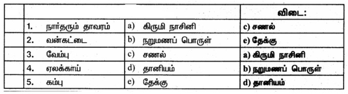 6th Science Book back Answers in Tamil