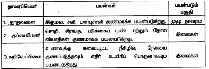 6th Science Books Answers in Tamil