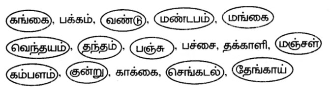 6th Tamil Book back Solutions