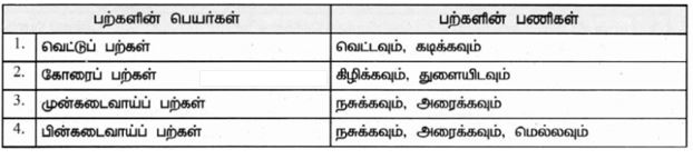 9th science book back questions with answer in tamil