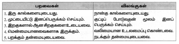 7th Tamil Book Back Questions and Answer