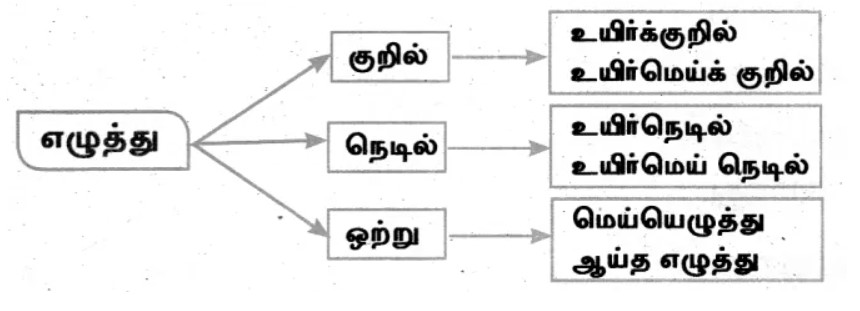 8th Tamil Book Answers