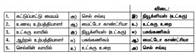 Samacheer Kalvi 6th Science Book back Answers in Tamil