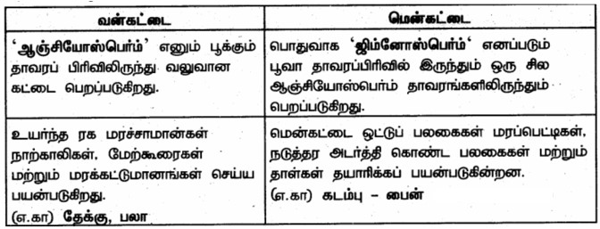 Samacheer Kalvi 6th Science Book back Solutions in Tamil