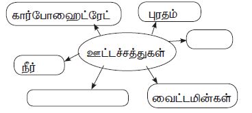 Samacheer kalvi 6th Science Term 1 Unit 3 Answers in Tamil