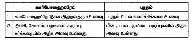 Samacheer kalvi 6th Science Term 1 Unit 6 Answers in Tamil