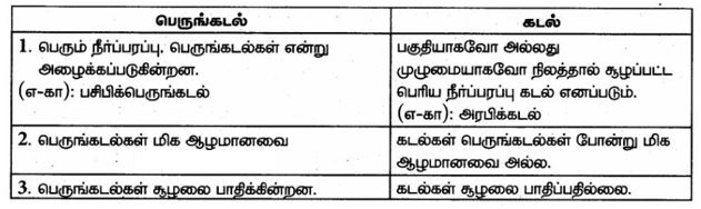 Samacheer kalvi 6th Social Science Term 1 Unit 2 Answers in Tamil