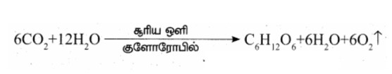 10th Science Book Back Answers in Tamil