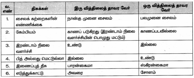 10th Science Book Back Answers in Tamil Medium