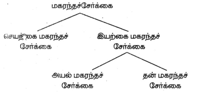 7th Science Answers in Tamil