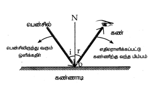7th Science Book Back Answers in tamil