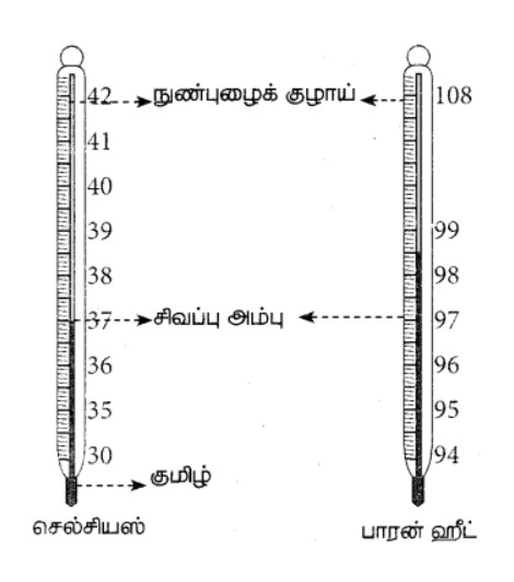 7th Science Book Back in Tamil