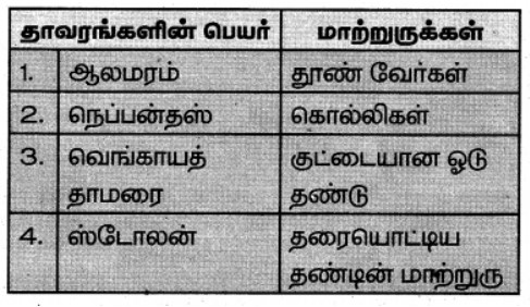 7th Science Book in Tamil