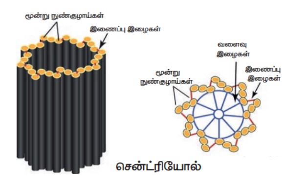 7th Science in Tamil