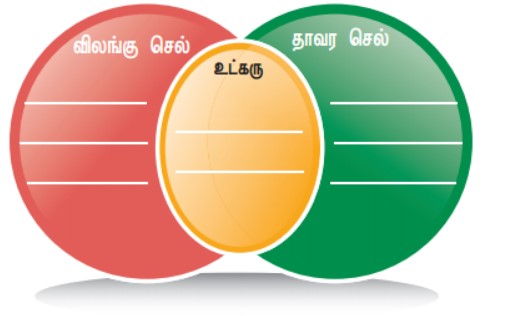 7th Science in Tamil Medium