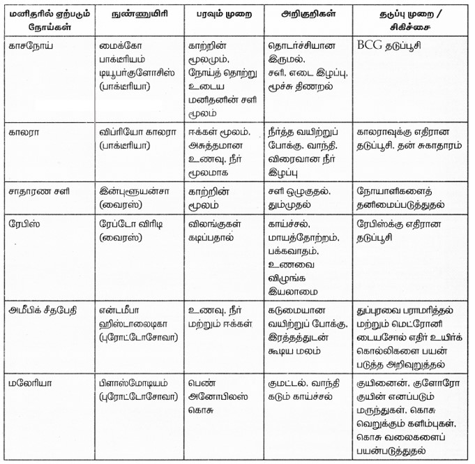 8th Science Book Back Answers in Tamil