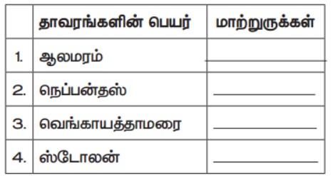 Samacheer Kalvi 7h Science Book Back Answers in Tamil