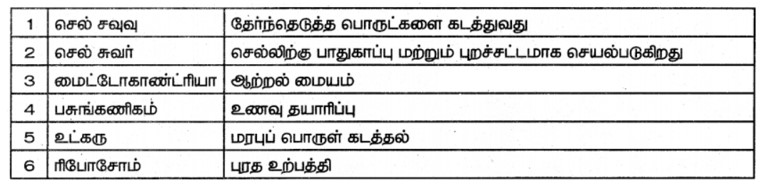 Samacheer kalvi 7th Science Answers in Tamil